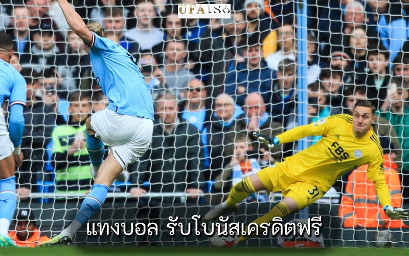 แทงบอล รับโบนัสเครดิตฟรี