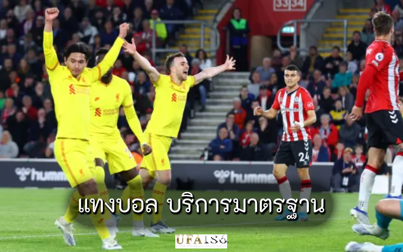 แทงบอล บริการมาตรฐาน